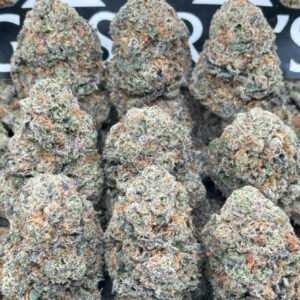 Caramel Apple Gelato